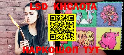Альфа ПВП Краснознаменск