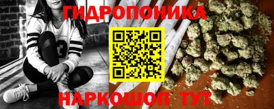 Альфа ПВП Краснознаменск