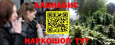 Альфа ПВП Краснознаменск