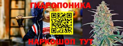 гашик Краснодар