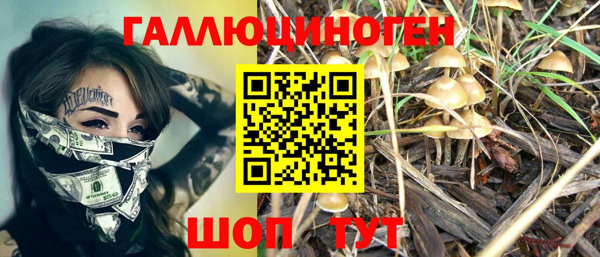 Псилоцибиновые грибы MAGIC MUSHROOMS Арсеньев