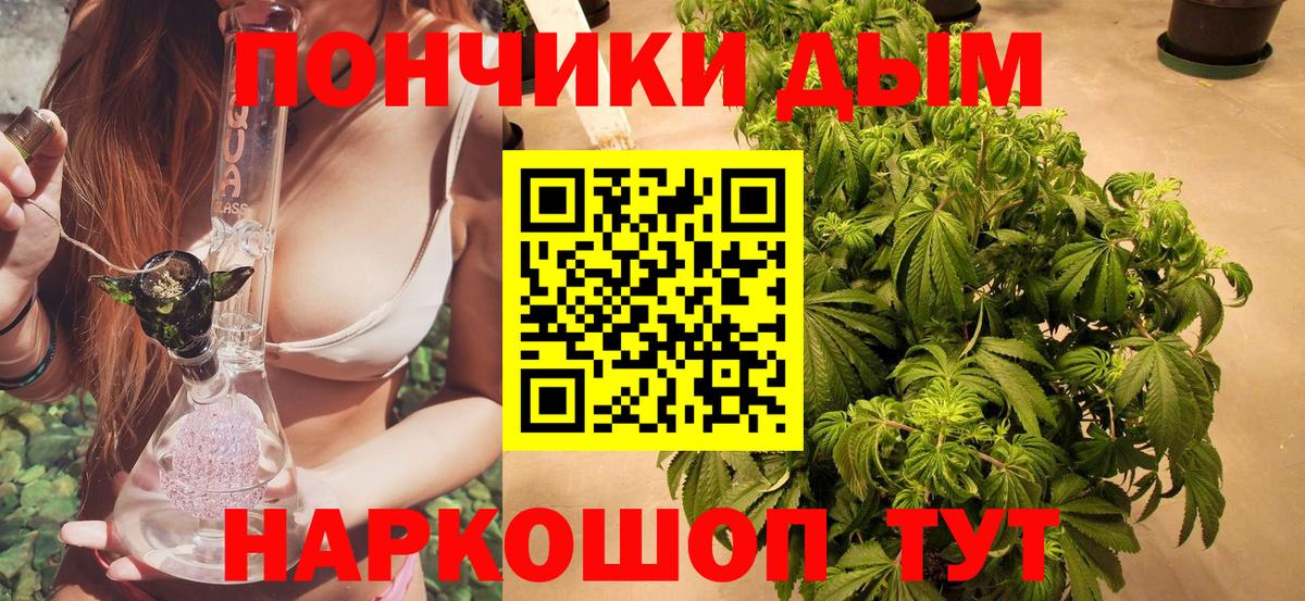 Бошки марихуана планчик  Бошки Шишки сатива  Арсеньев  Конопля гибрид  Вход с VPN 